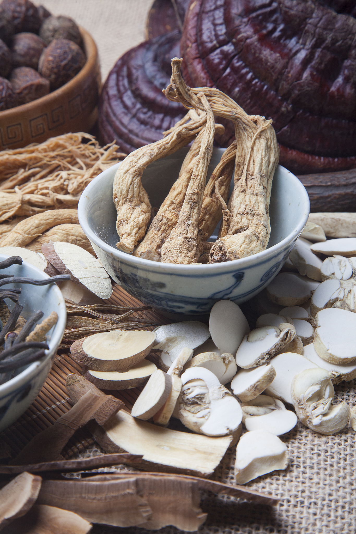 西洋参、人参、杜仲、地黄、山药、桔梗、白茅根、泽泻、白花蛇舌草、黑豆、益母草、土茯苓、丹参的功效