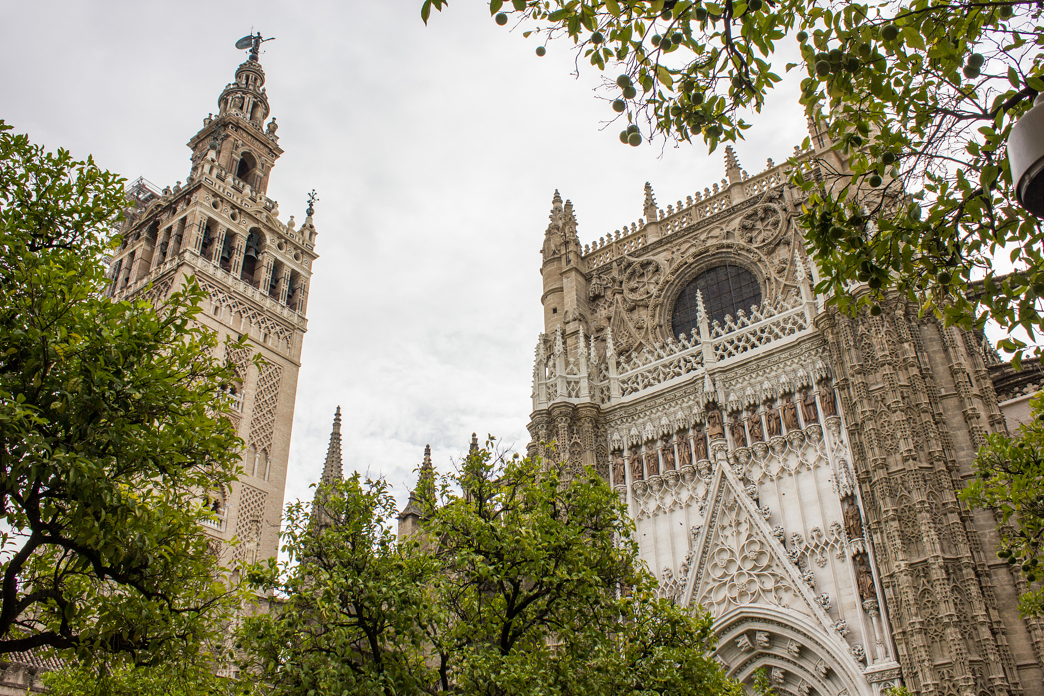 view of the giralda minaret and the cathedral listed as world he