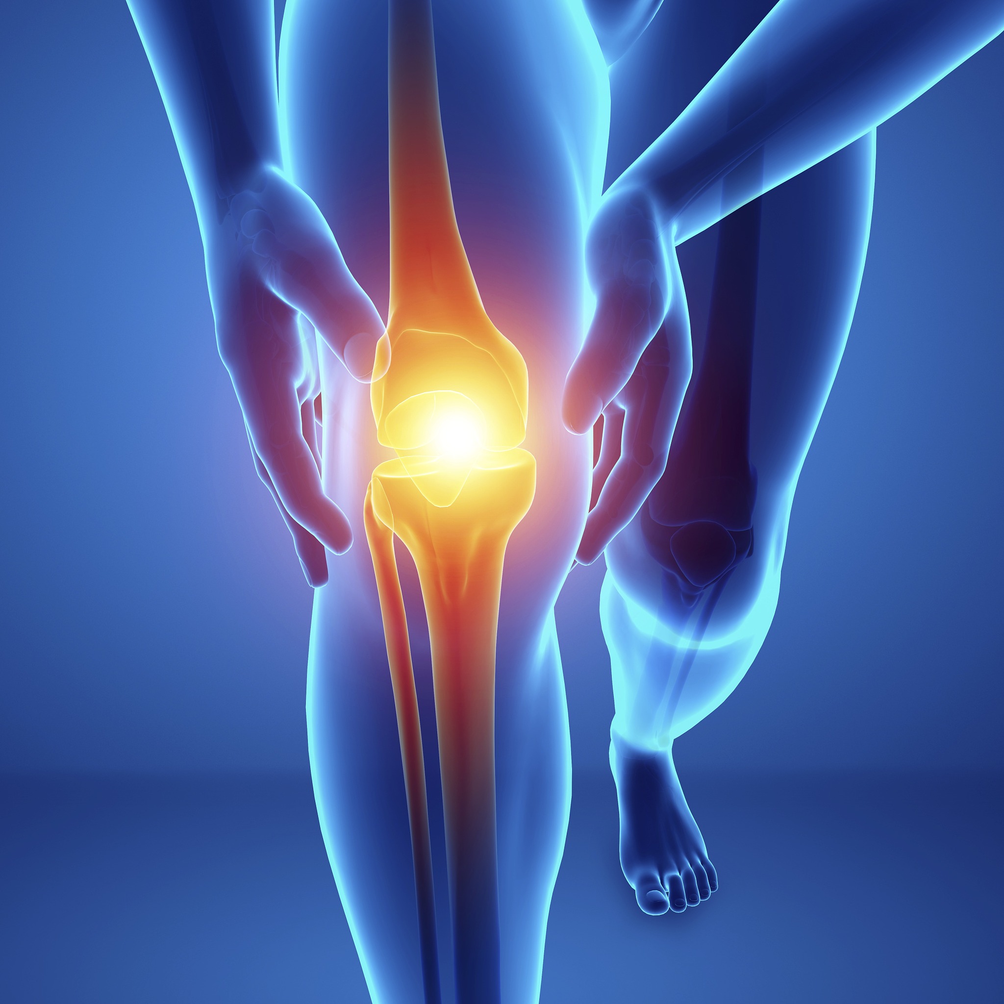 长春医学高等专科学校医学营养专业课程设置有哪些