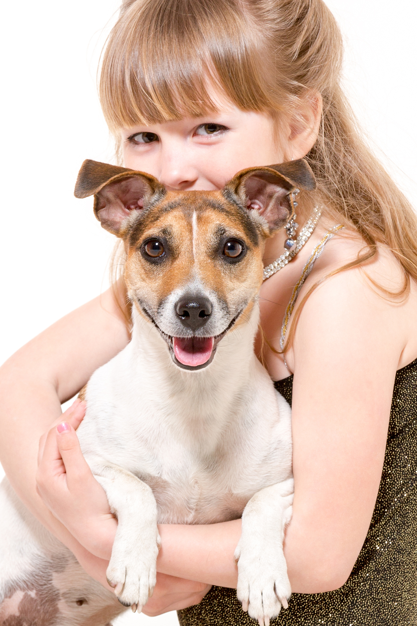 你好您好！有什么可以帮到您呢？电影《忠犬八公》的观后感