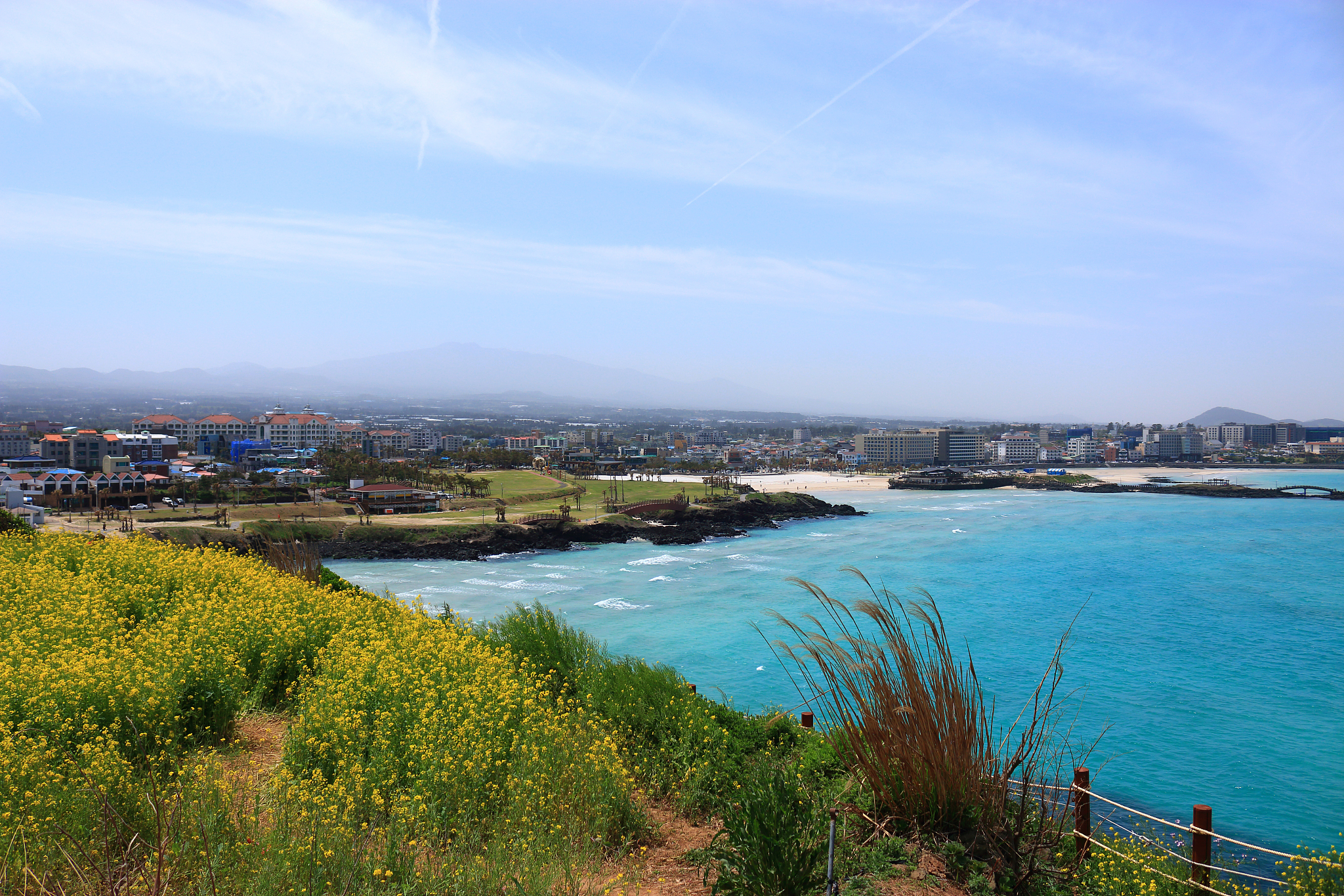 hamdeok beach, west wu bong, wildflower, flower, beach,