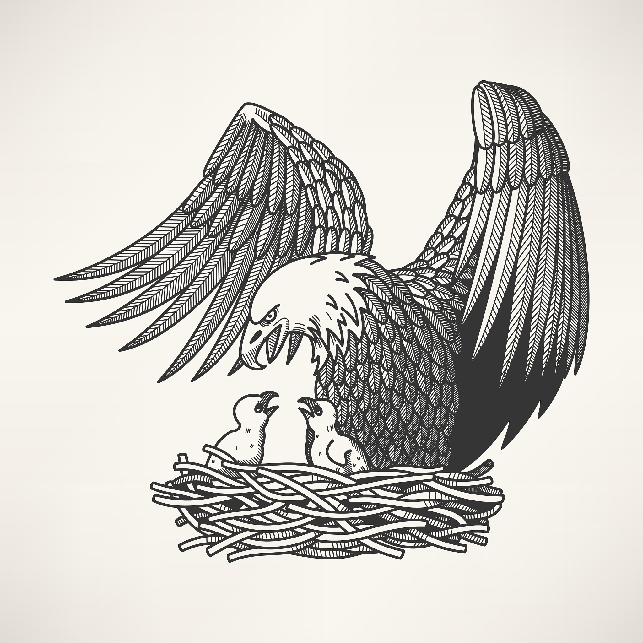 bald eagle in the nest