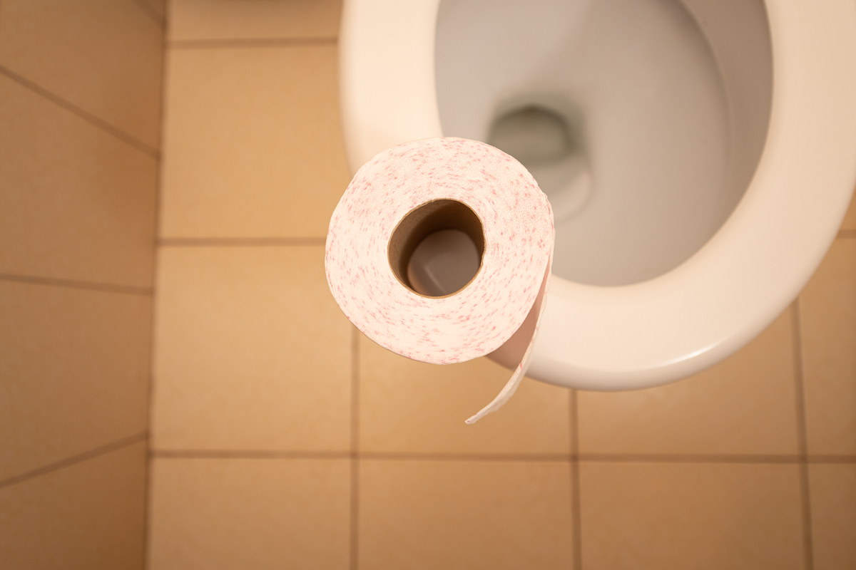 厕纸都可以直接仍马桶么