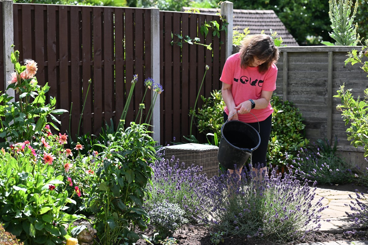 Alloy Garden Hose Wand Reviews: 8 Spray Patterns, Thumb Control, Perfect for Hanging Baskets & Shrubs