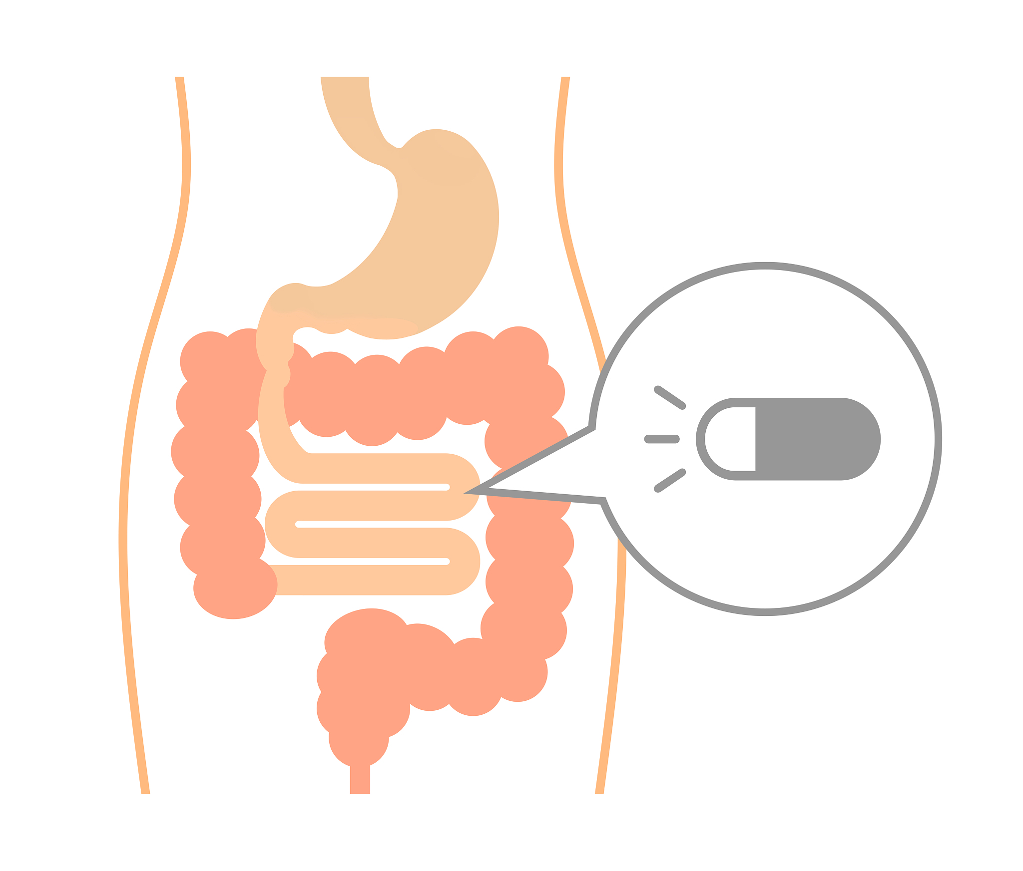 安徽红十字会卫生学校2023年招生专业：临床医学、药学、护理学等
