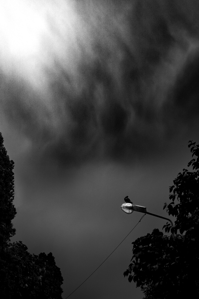 人生黑白对错难辨，时间匆匆留下夜色风景