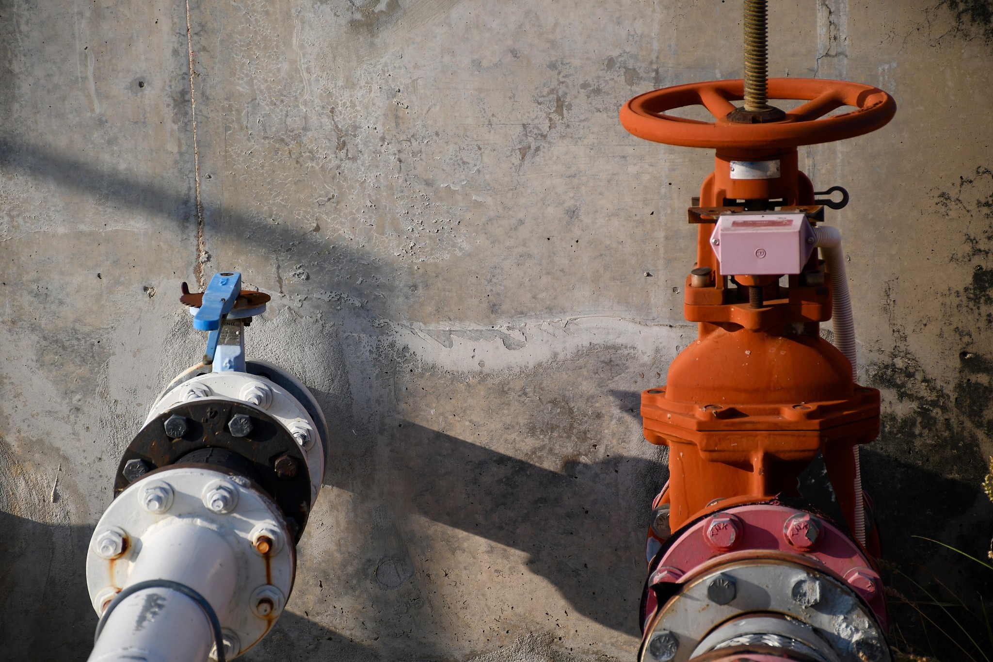 将以下文字变得通顺：然后看下一张照片啊下一张照片。呃他通过一个测试的角度去拍了一个楼梯啊小楼梯门前的小楼梯和右侧的一些花花草草什么的还有根水管。然后我们注意到这个水管起到一个画面的平衡作用就这条线平行平行于这个边框的竖线使得画面有一个正的感觉啊那这个是一个关键的东西。那他为什么要拍一个斜的阴影呢那同样这个阴影的作用就相当于底下斜塔的作用就是画面。有一个很破坏这个画面的切割这个鞋的感觉但是我一条水管