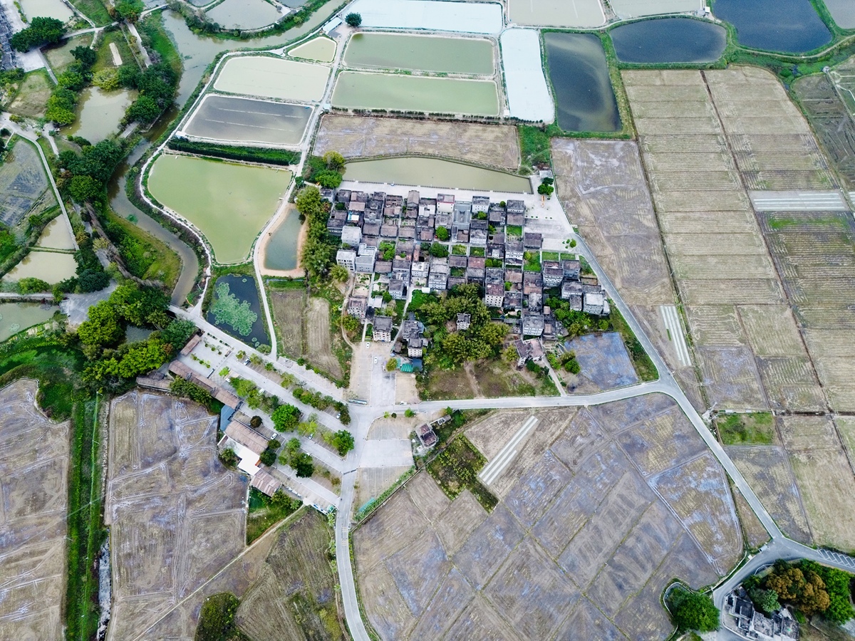 乡村振兴下古镇的设计策略：以下古镇为例