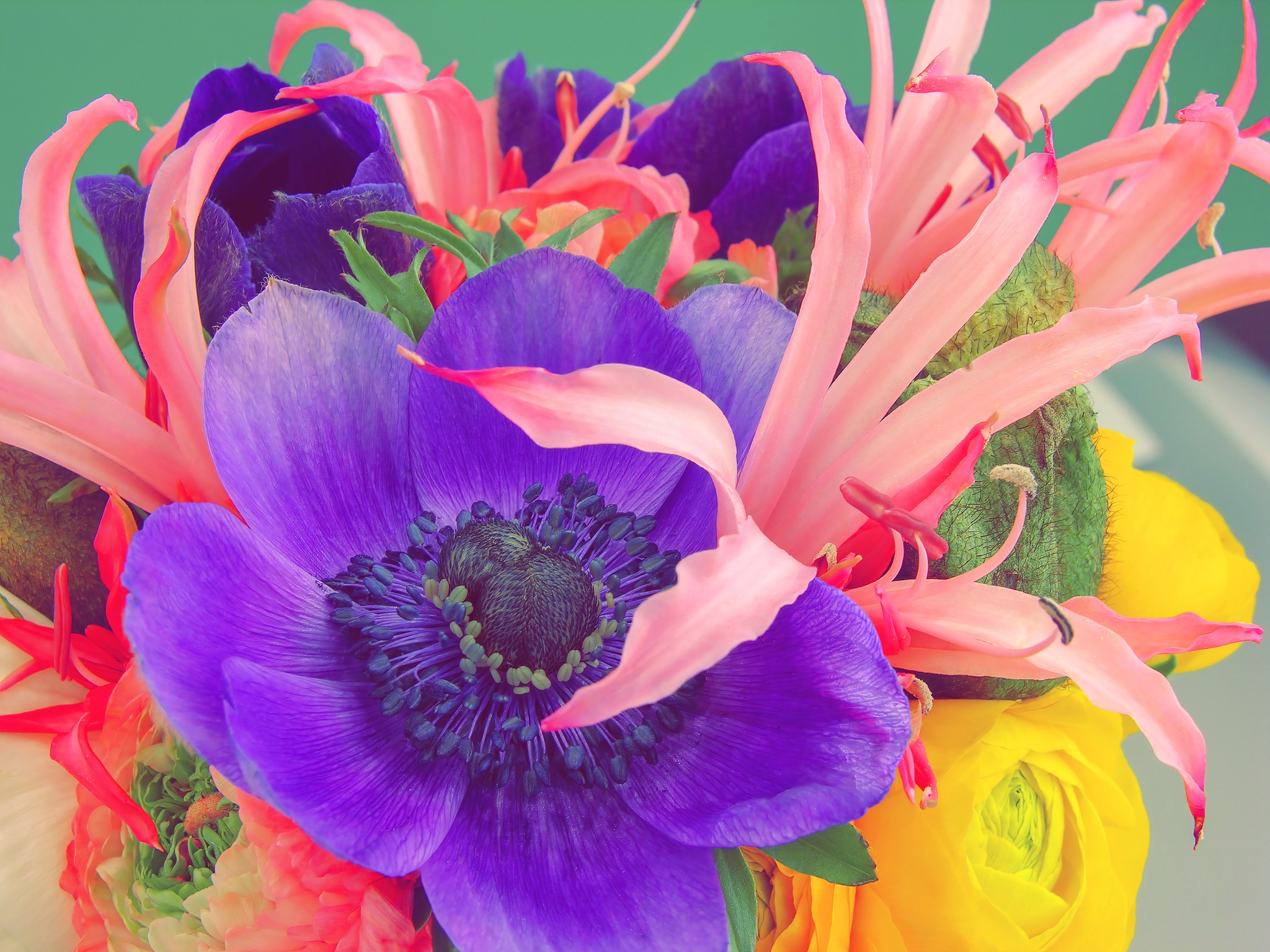 G-Poem: A Flower's Grace and Glory