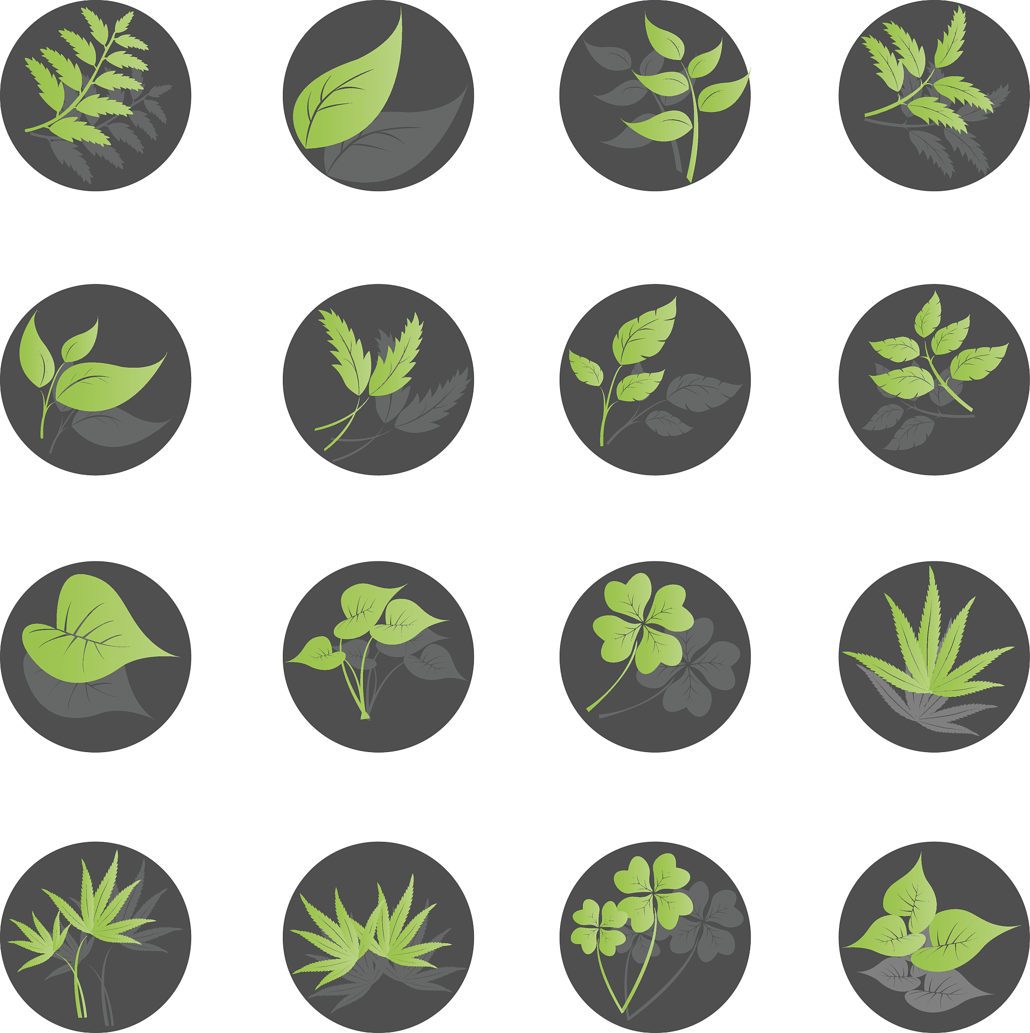 植物病虫害图片分类识别系统的绪论