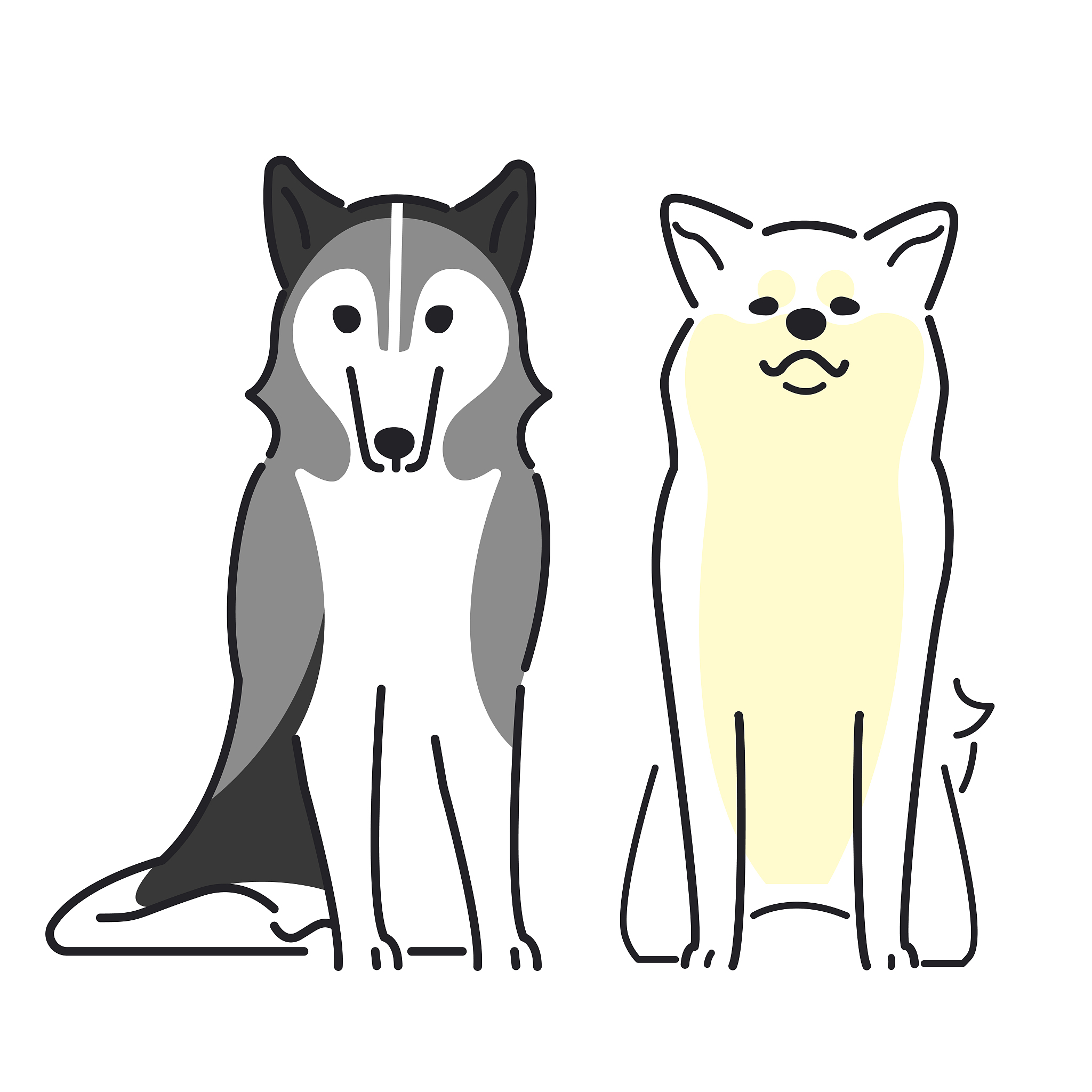 生肖狗：忠诚、勇敢和诚实的象征