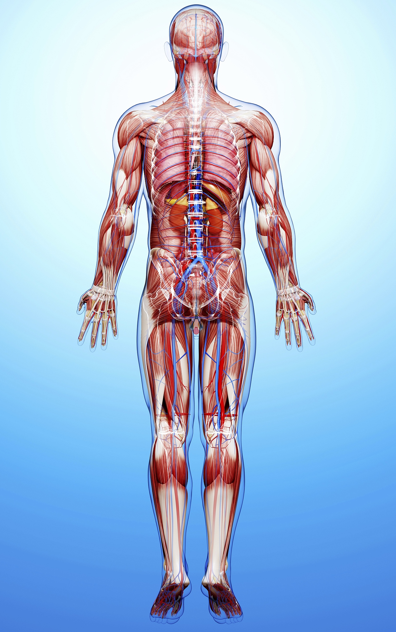 哺乳期妇女可以吃布洛芬吗？