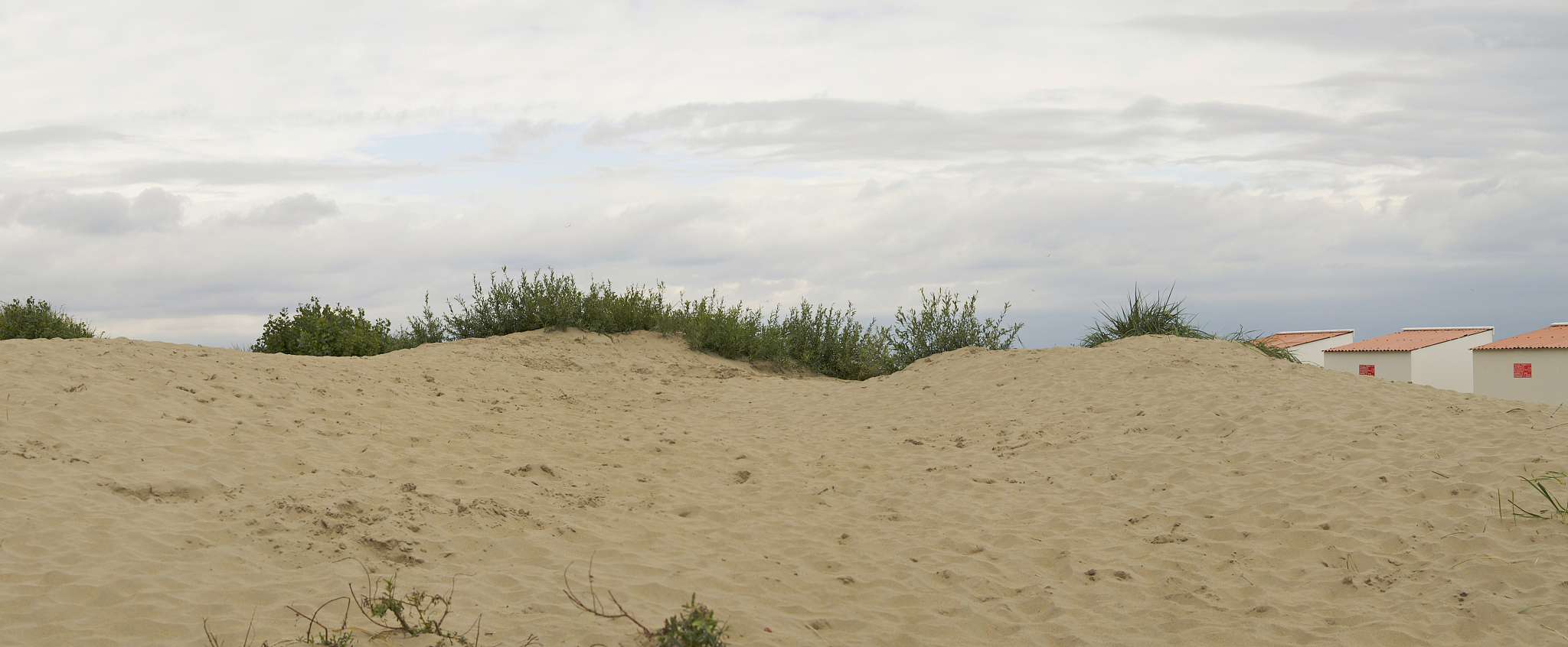 belgian dunes