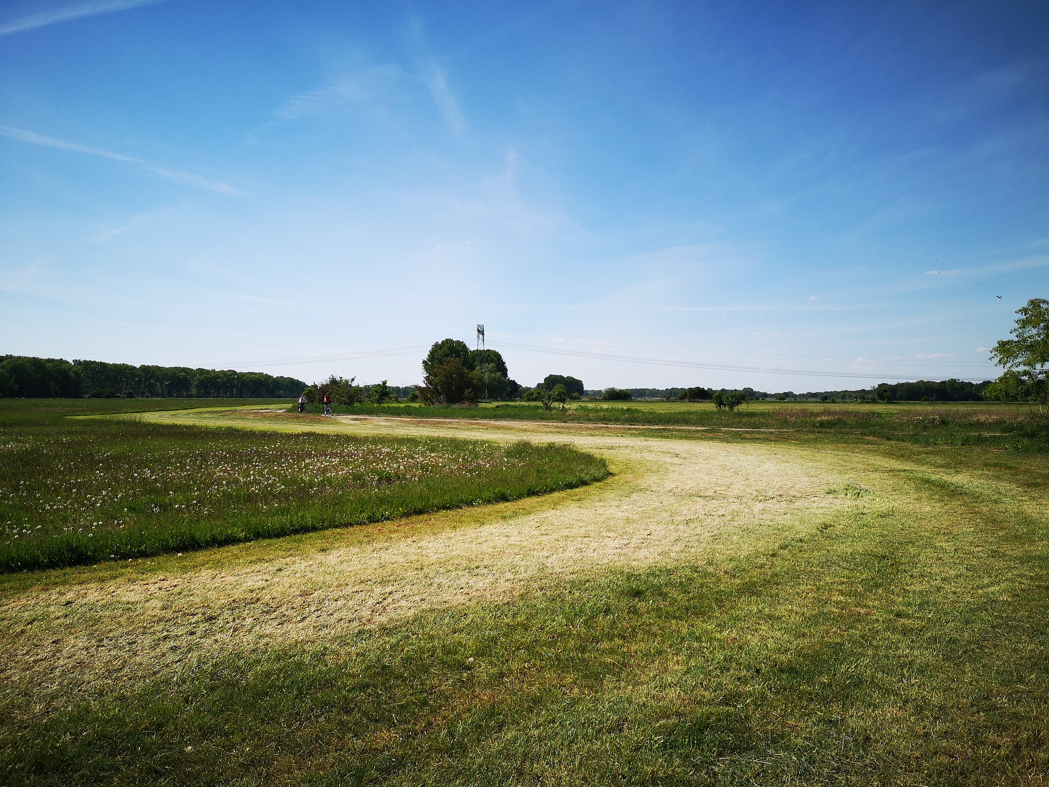用乡间田野小路行人飞鸟等元素写一首诗乡间小路婆娑田野绿草如茵行人匆匆而过飞鸟欢快飞行。阳光洒在身上微风轻拂脸庞听着鸟儿的歌声心情变得欢畅。乡间的生活自由没有城市的喧嚣大自然的美景让人心情舒畅。走过田野小路感受大自然的美好行人与飞鸟一起享受生命的美妙。继续