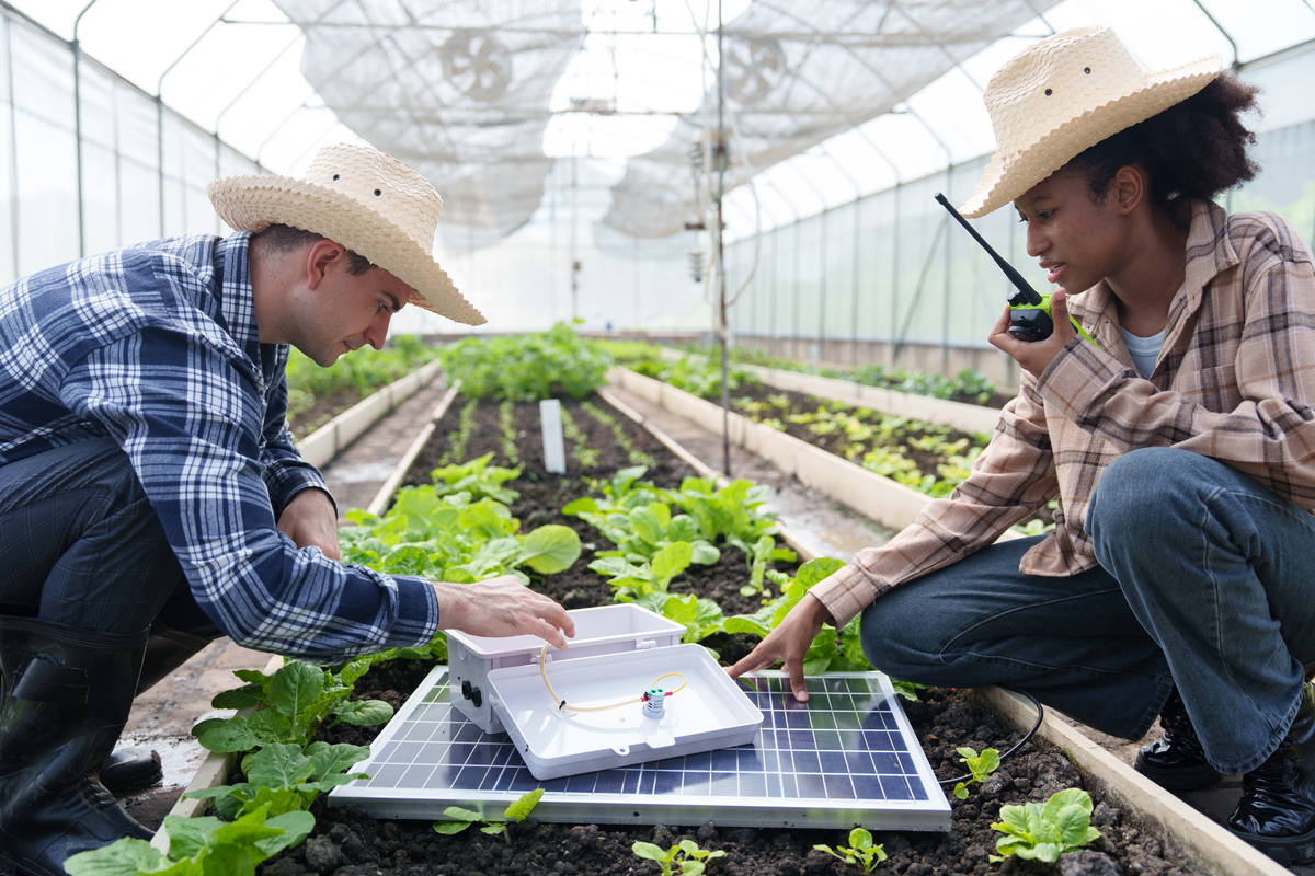 春季提升作物健康，Sigma AgriScience基金会计划助您一臂之力
