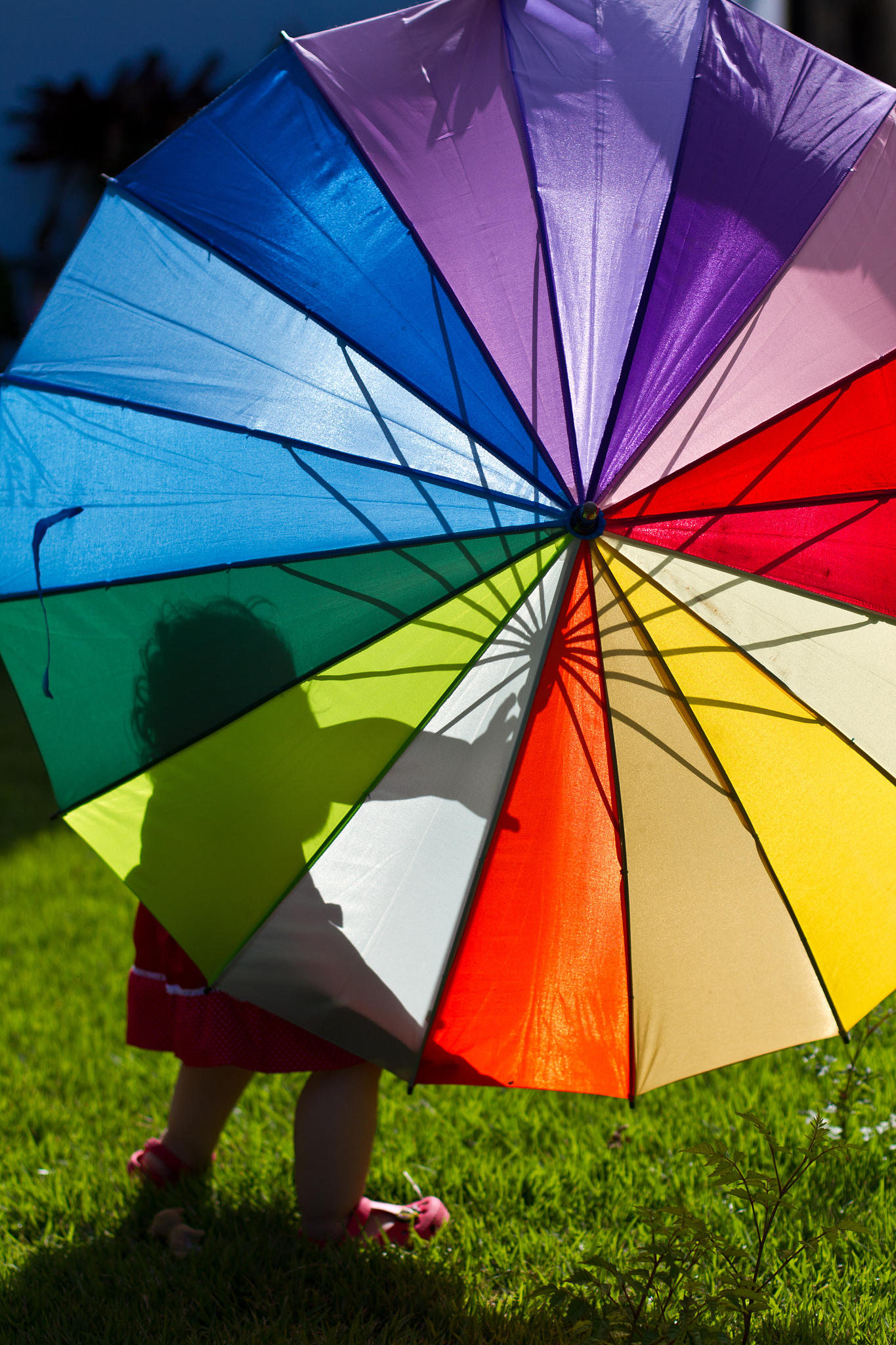silhouette of girl holding rainbow umbrella