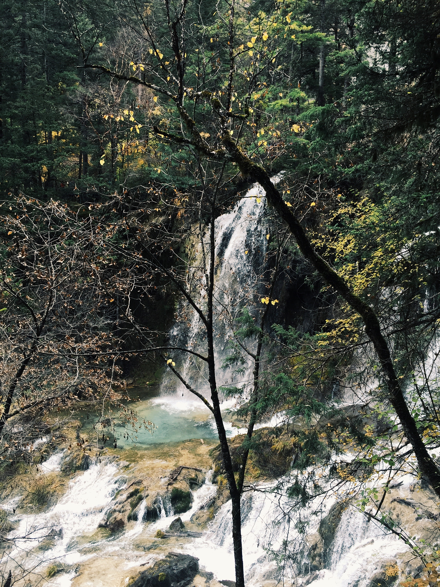 石磴回环踏不尽，连柯接叶掩苍空 -  描绘山间奇景的诗句
