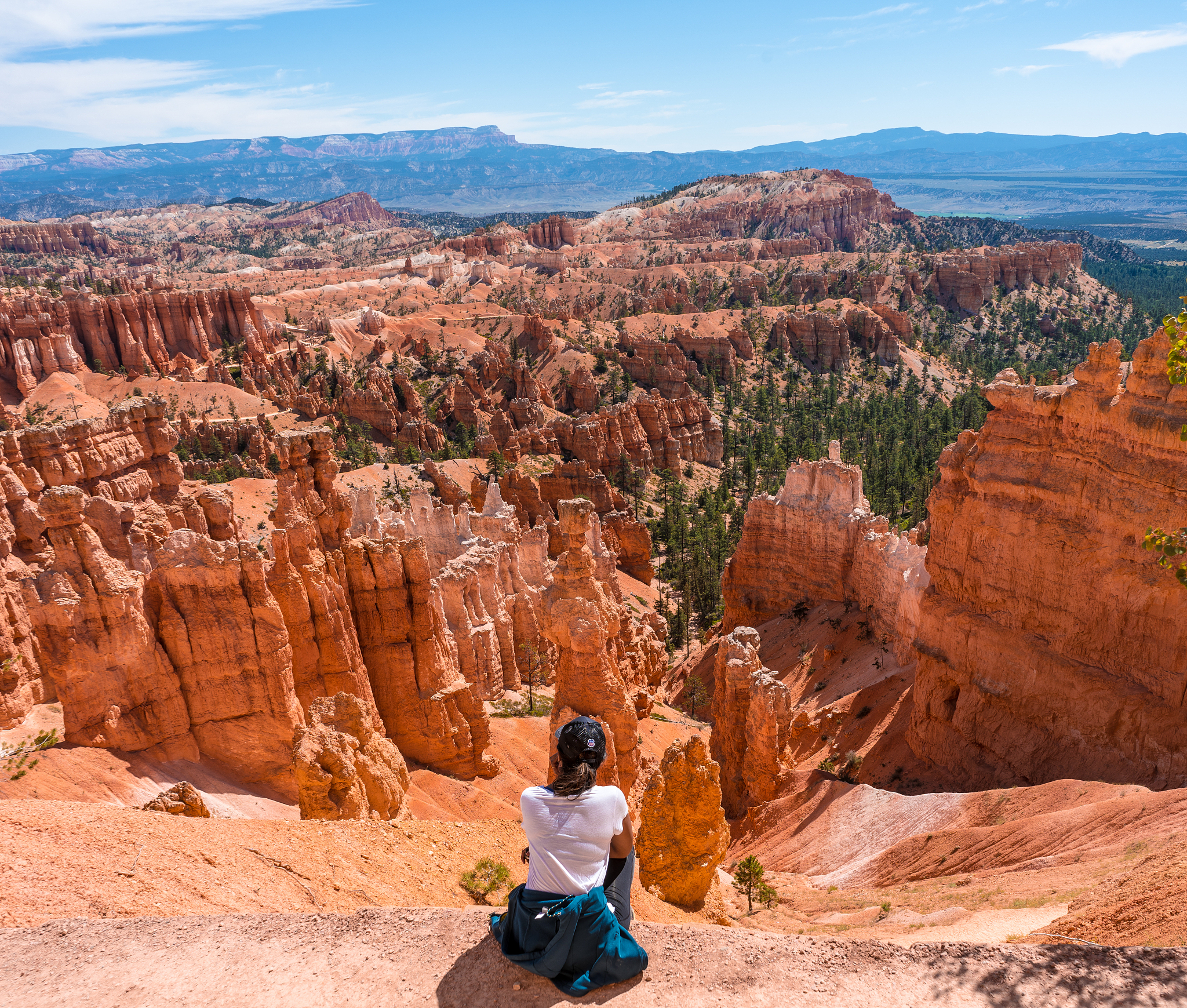 科罗拉多大峡谷：自然传奇的壮丽与震撼 - 纪录片观后感