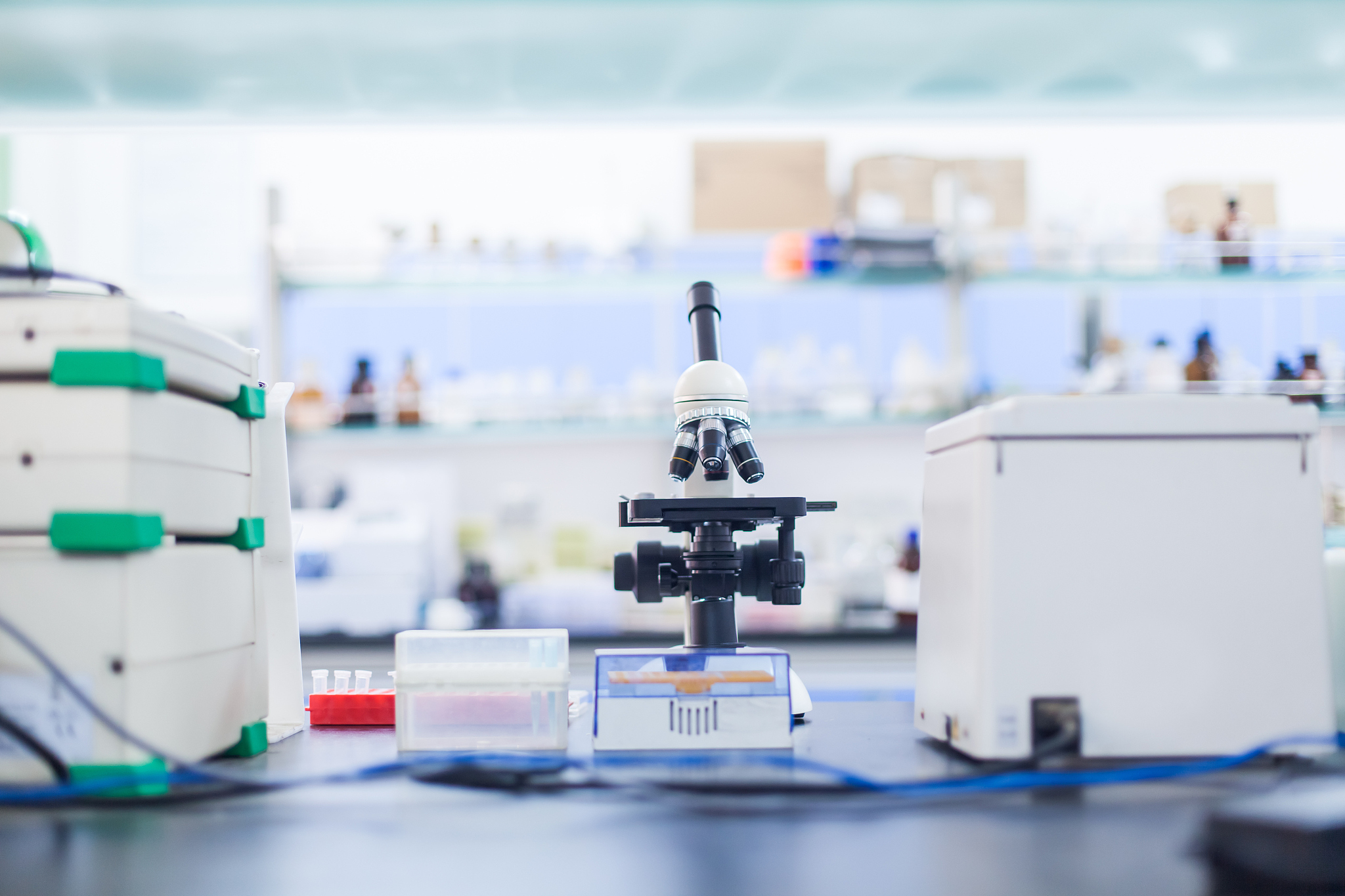 欠发达地区化学实验教学的数字资源应用策略