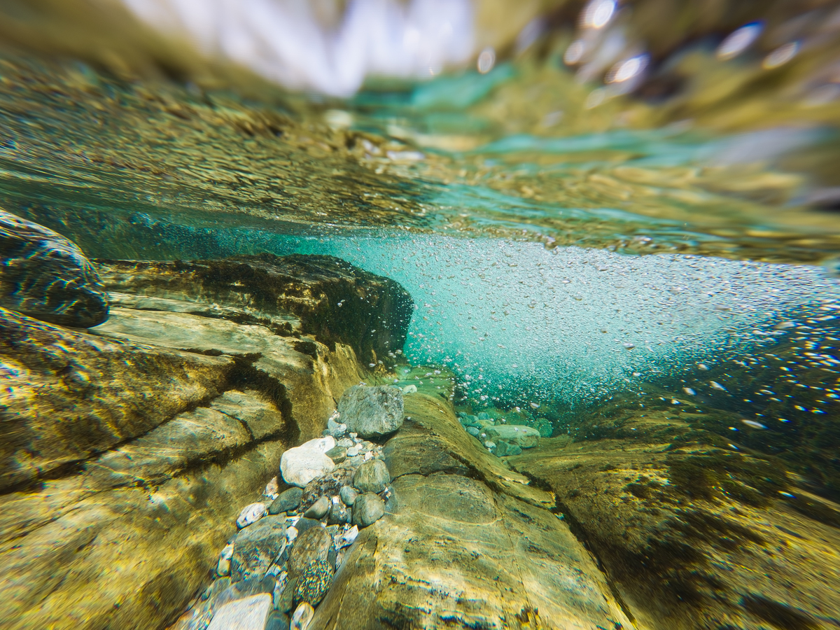 Can you make it more elegant and lively in line with the schools official social media style The Weiming Lake is an ocean Whats it like being a fish in it Let’s dive into the underwater world follow