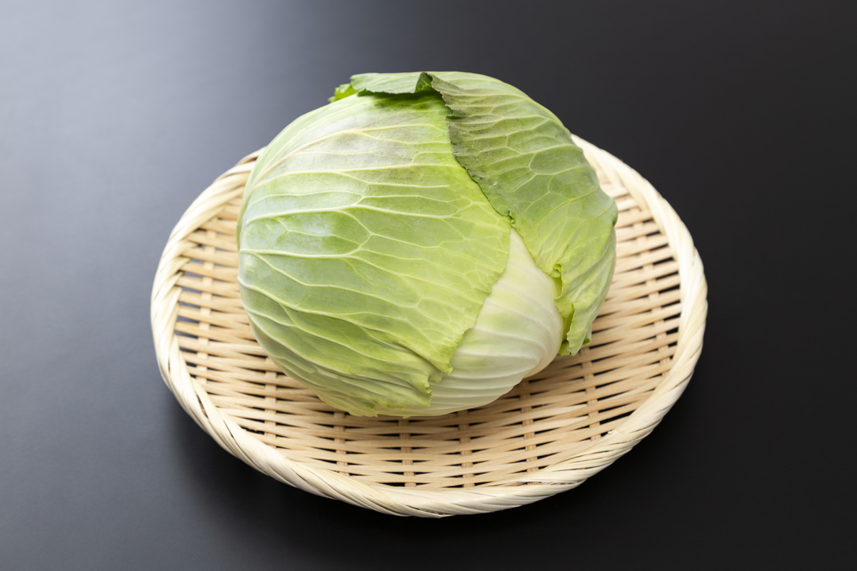秋季黄心大白菜：营养丰富、口感鲜美，品种繁多任你选！