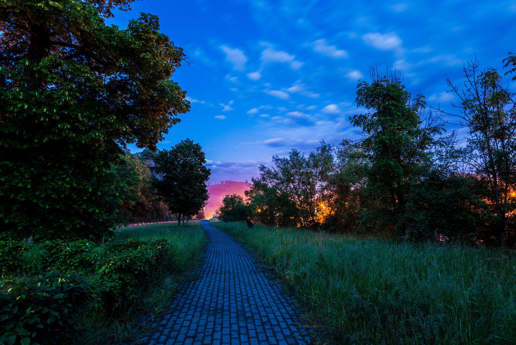 关于 少有人走的路通向哪里 的演讲稿