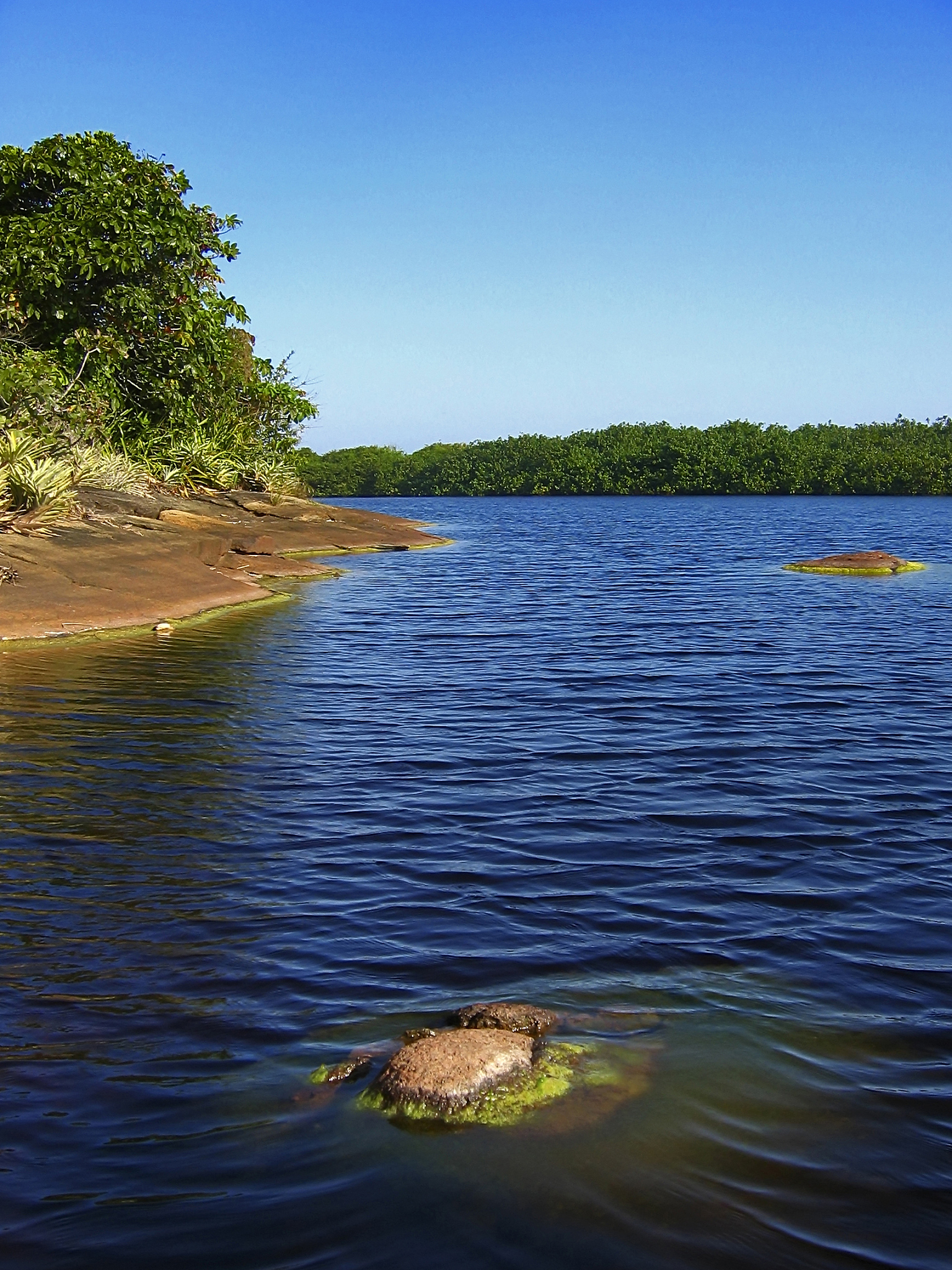写一篇关于生态水系的综述