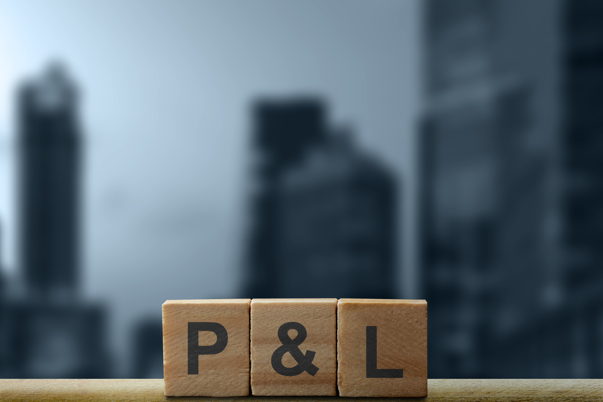 办公桌上带有"<strong>p</strong>"和"l"(利润与亏损)缩写的木制立方体