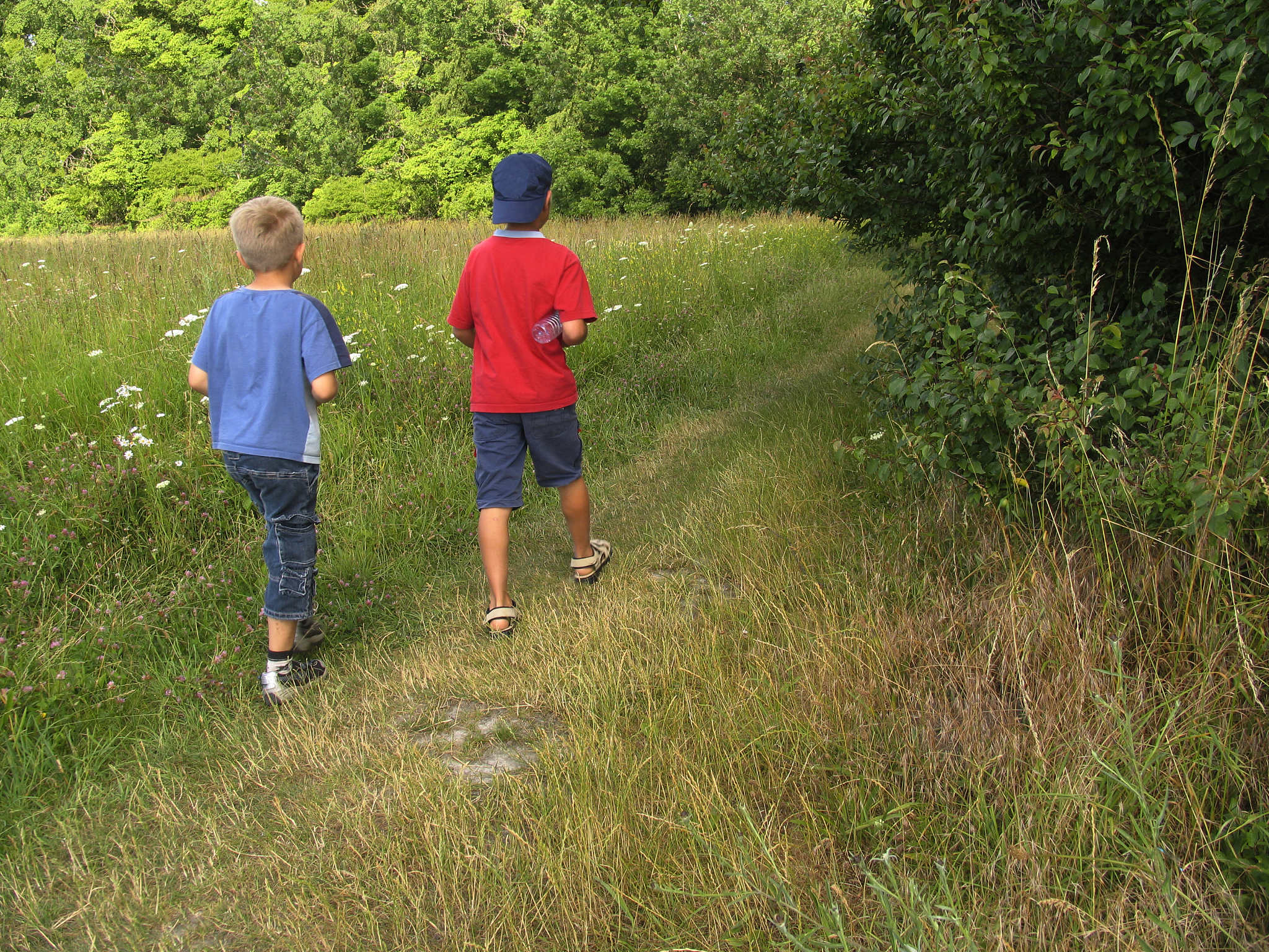 蹒跚学步的勇气：小孩儿下山的奇妙旅程