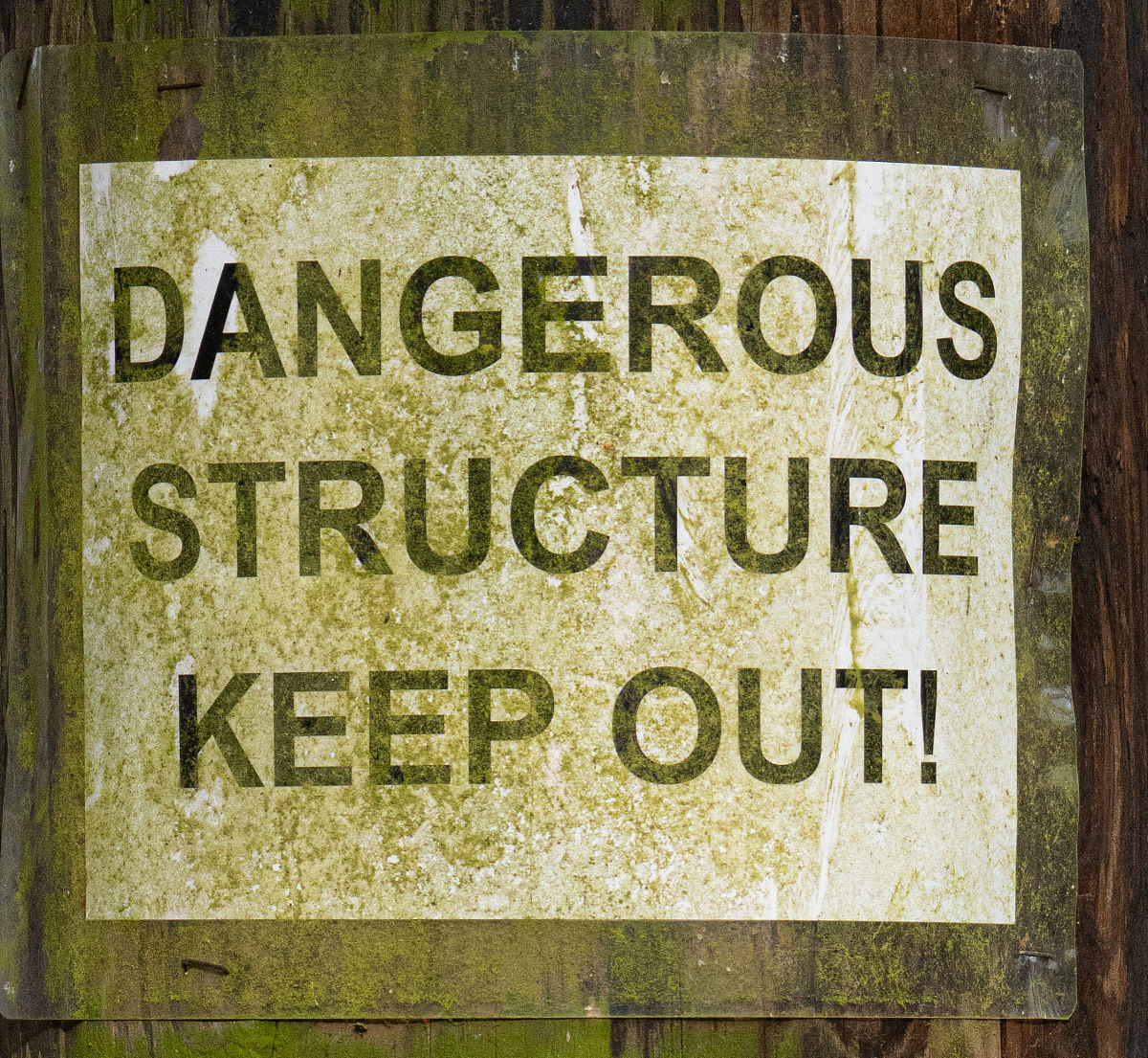 I want you to write a short story on the Topic DESCRIBE SOMEONE YOU KNOW WHO HAS RECENTLY MOVED TO A NEW PLACEThe Answer should include these informations No one I know is moving recently so I can onl