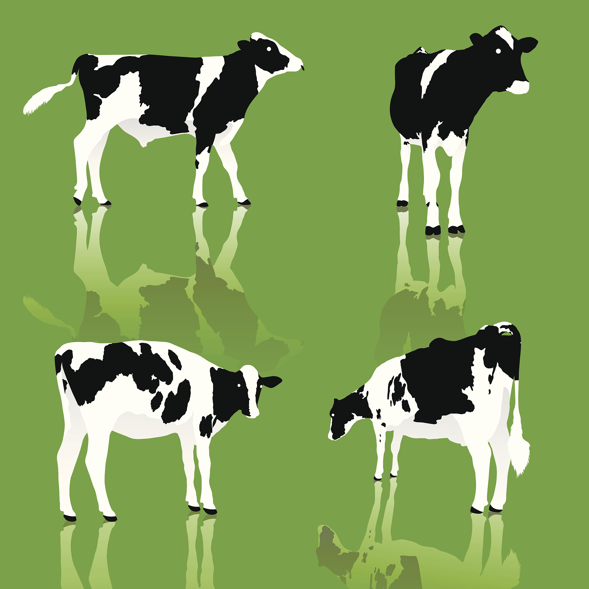 奶牛个体识别技术发展概述：从LBP到特征融合