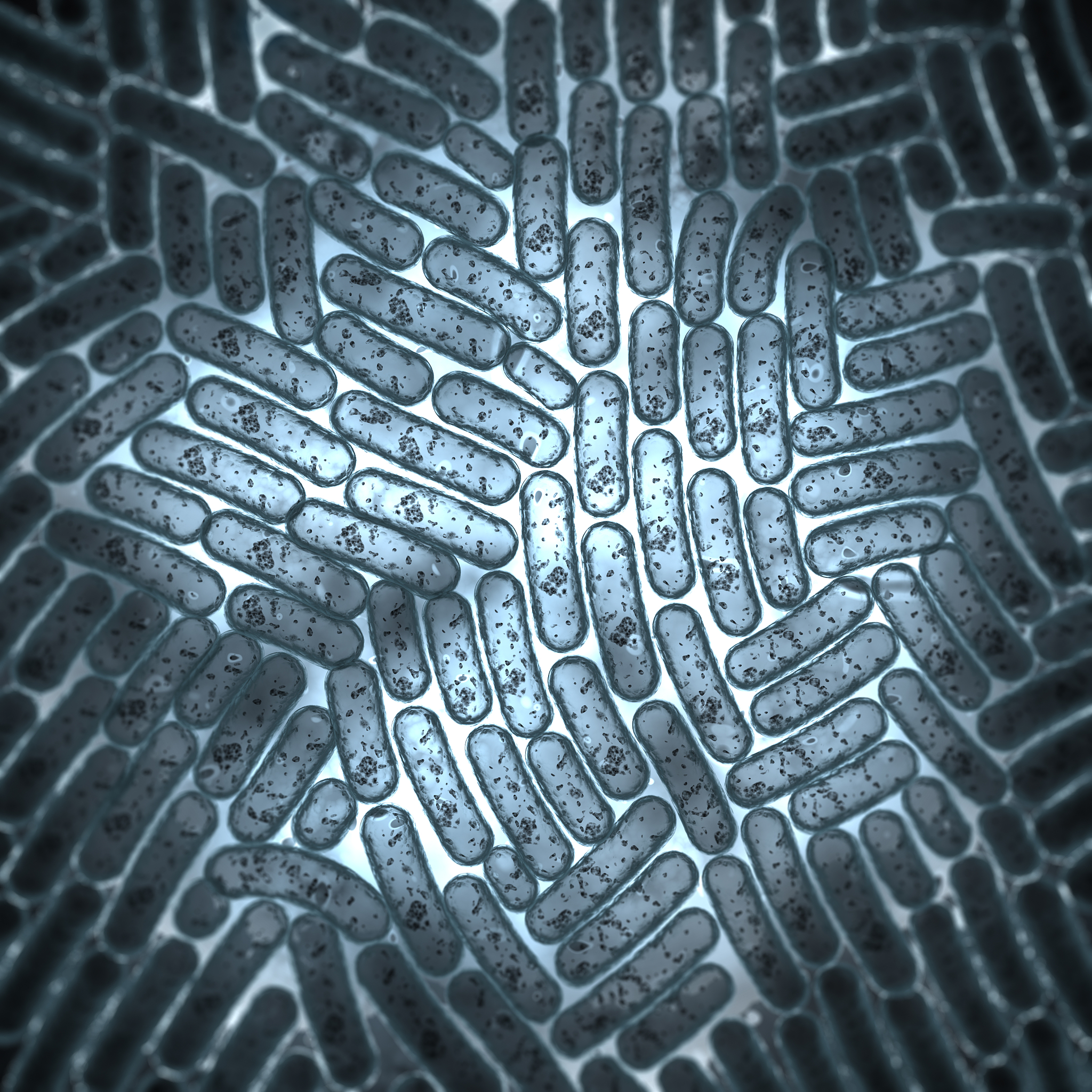 志贺氏菌、大肠杆菌和产气肠杆菌的差异培养基鉴定法