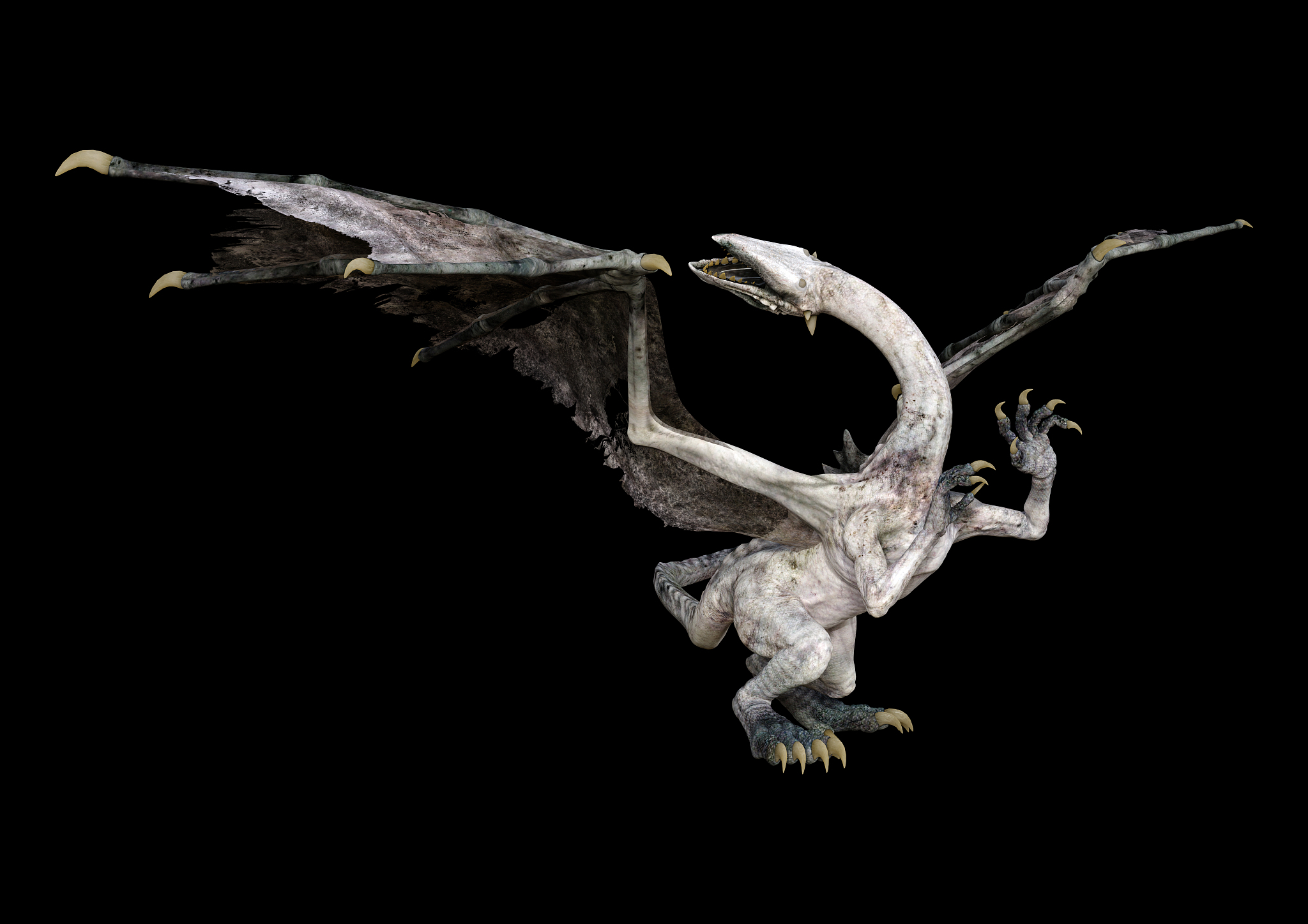 3d illustration fantasy dragon on black