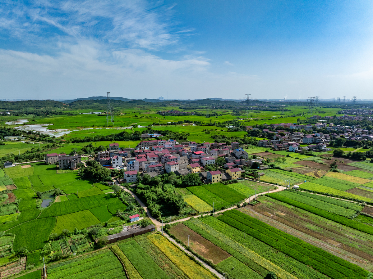 海宁最大村庄：长安村