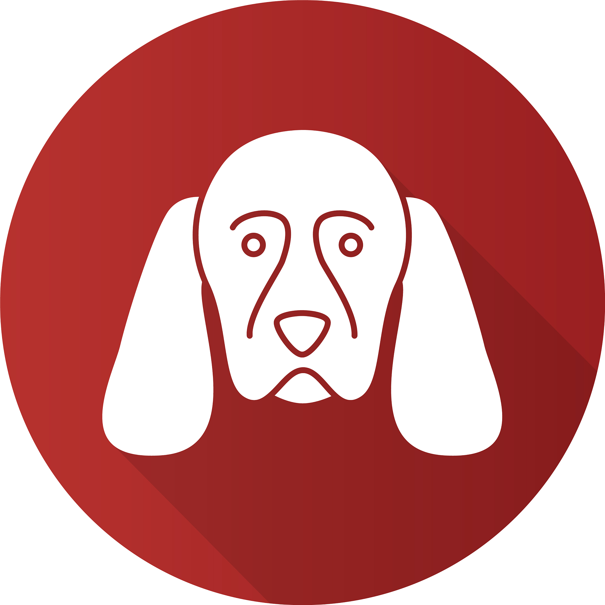 恶魔的石板和被诅咒的犬公主