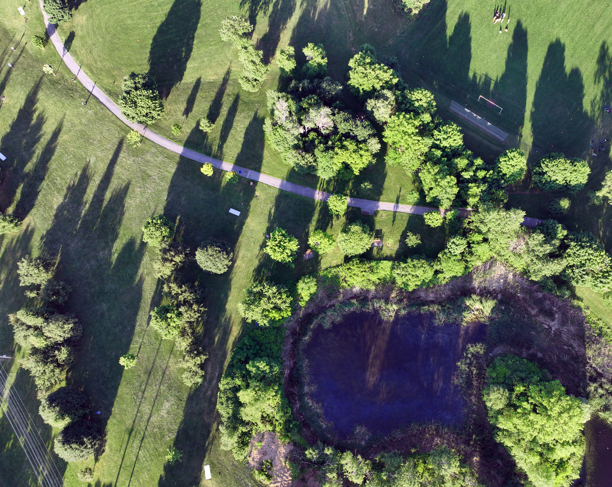 China's Sustainable Forestation: Combating Deforestation and Soil Erosion at the MUN