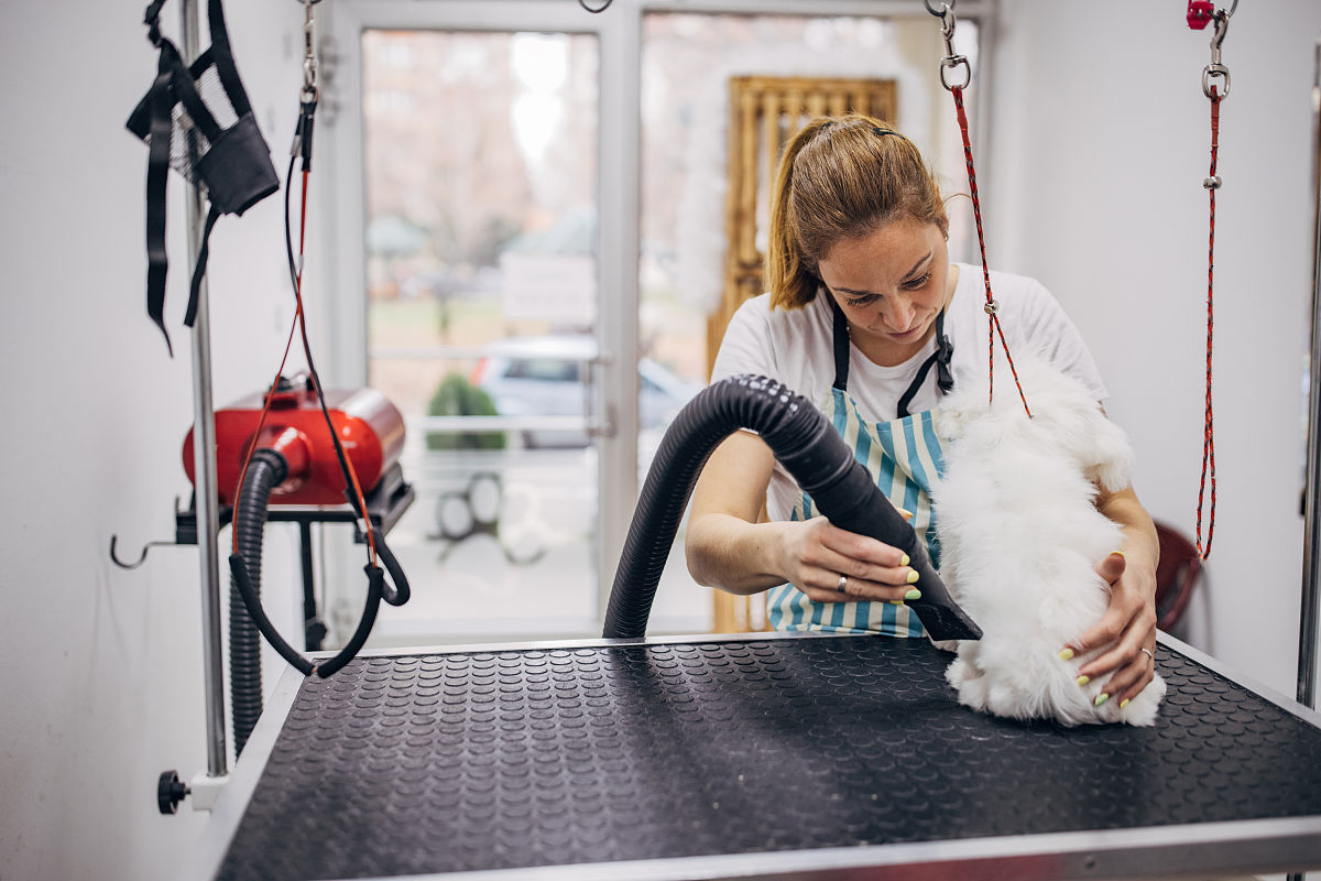 阐述：宠物电商平台平服务链条延伸不足