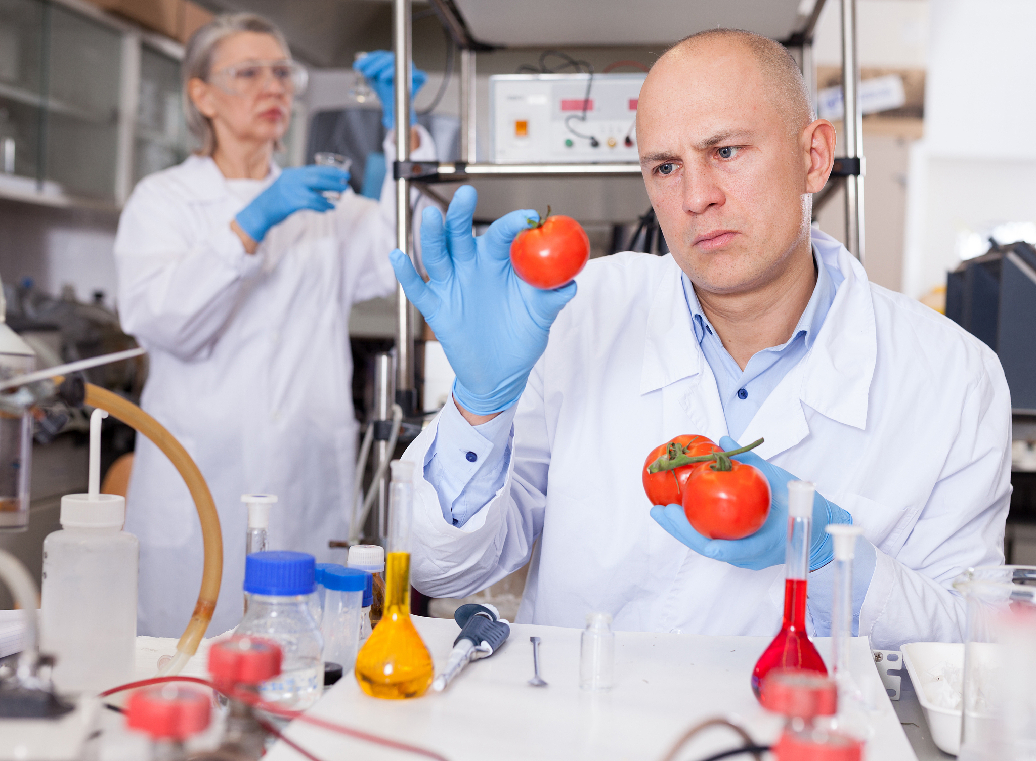 FOOD TECHNOLOGY AND BIOTECHNOLOGY 期刊推荐：食品科学与生物技术领域权威期刊