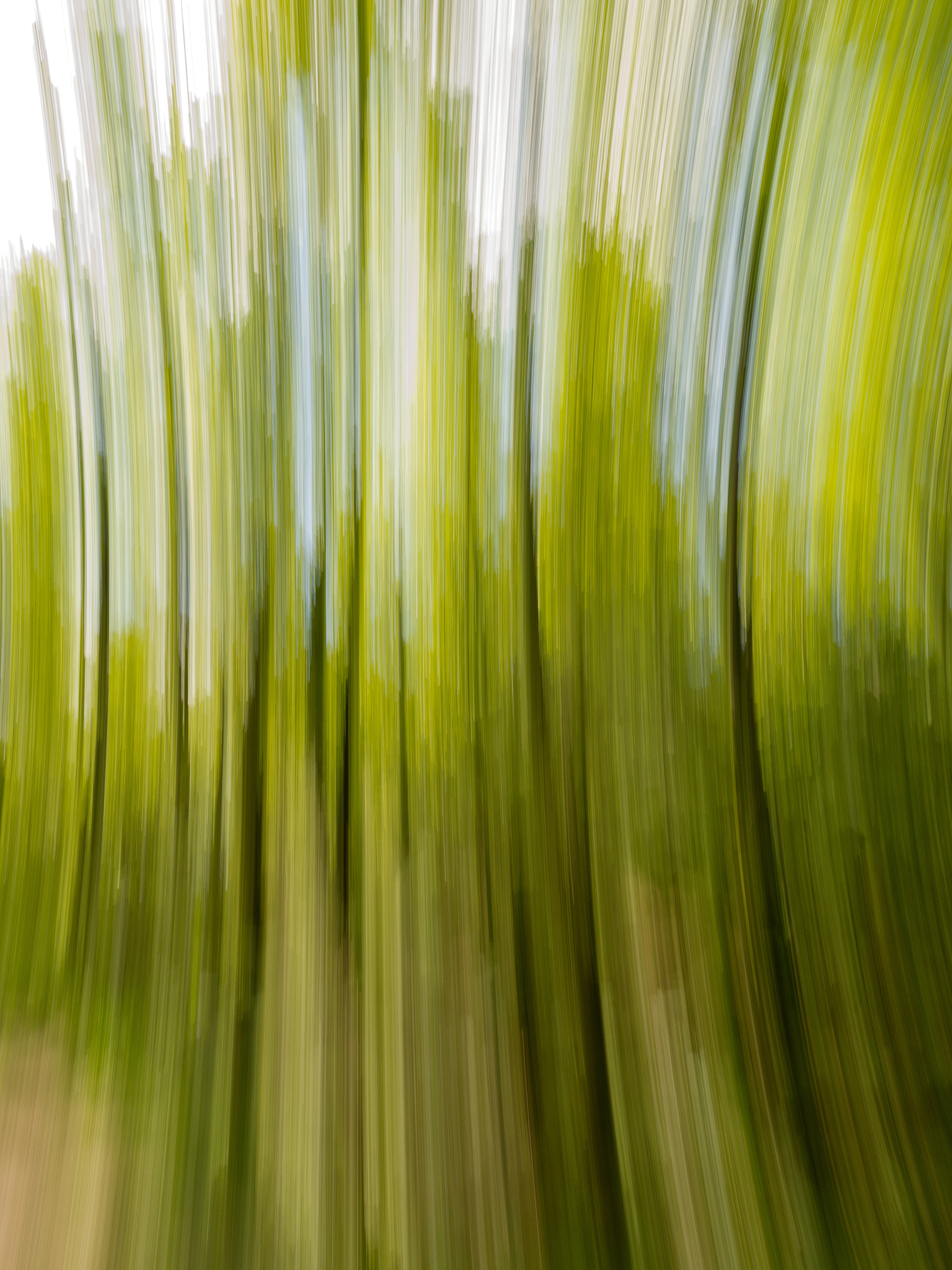 sebutkan pengertian representatif dan sebutkan lah gaya seni rupa yg termasuk dalam representatif