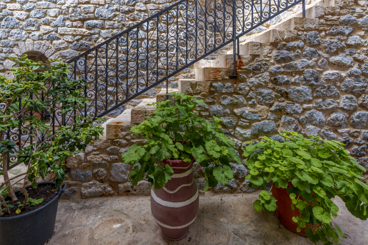 北京春天幼儿园屋顶露台种植花卉推荐：安全、易养、观赏性强