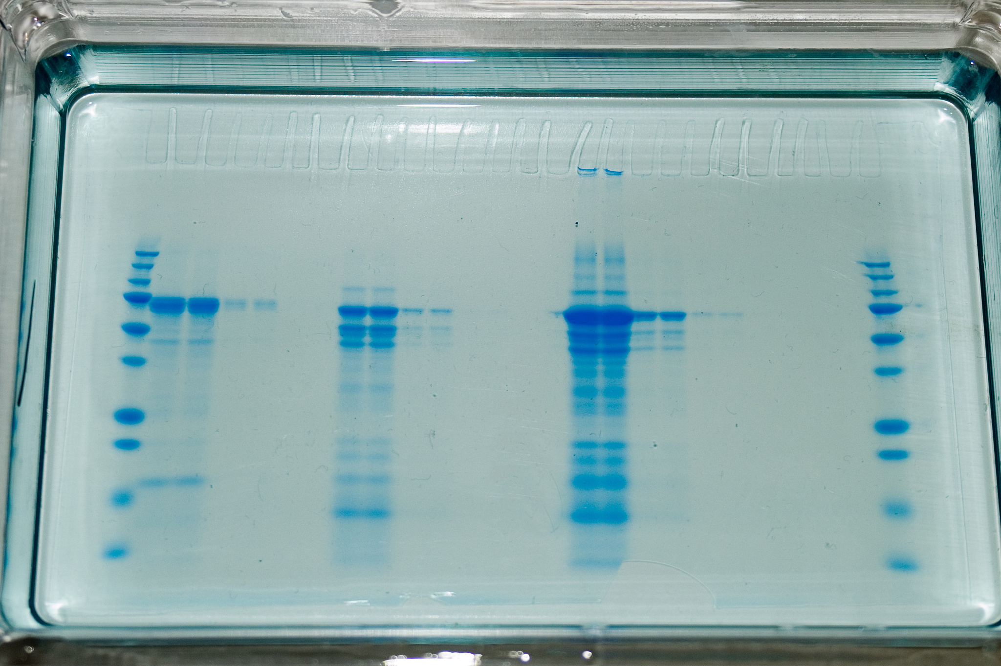 MOLECULAR GENETICS AND GENOMICS推荐理由？