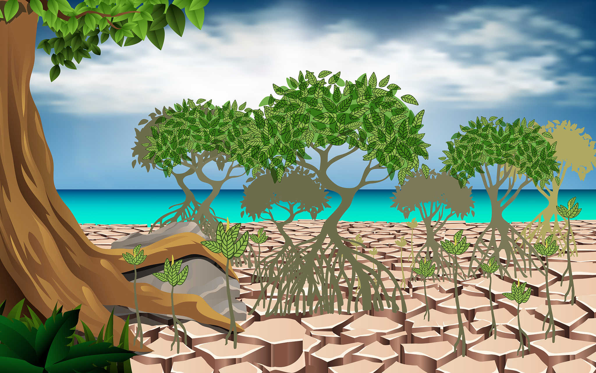 入侵植物的影响：环境和经济的挑战