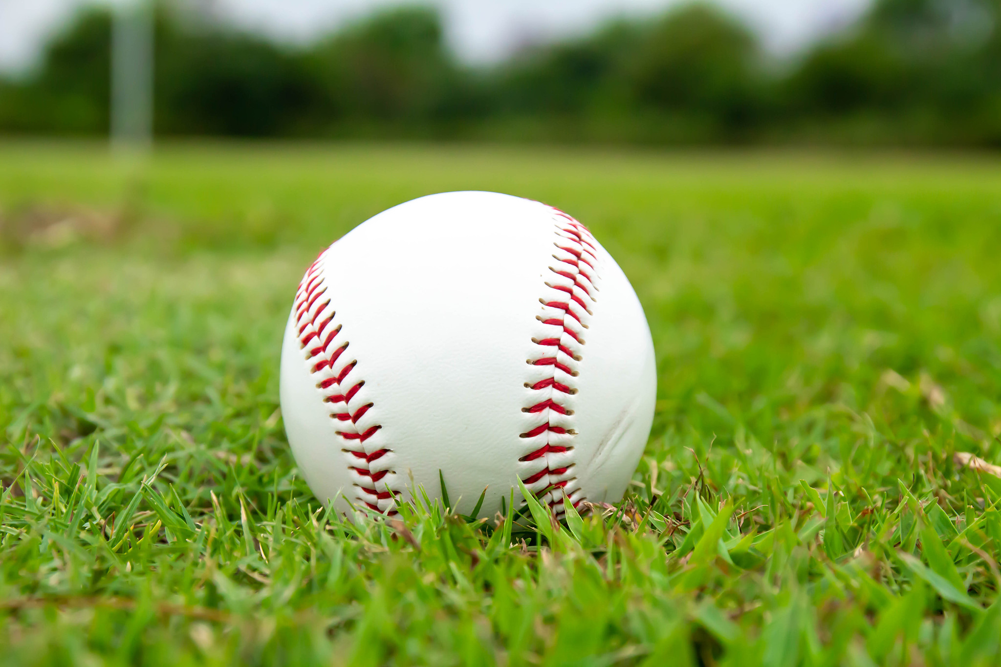 baseball field and hardball