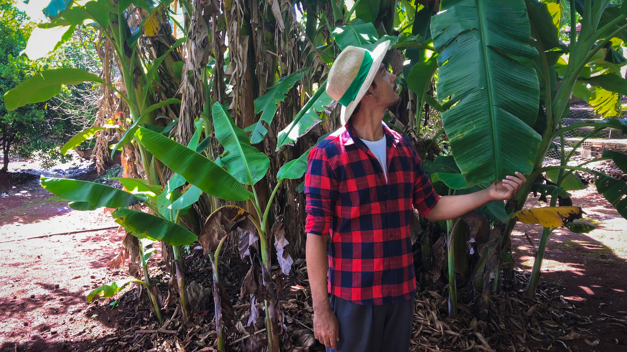 浙江农业商贸职业学院招生办电话：0571-12345678