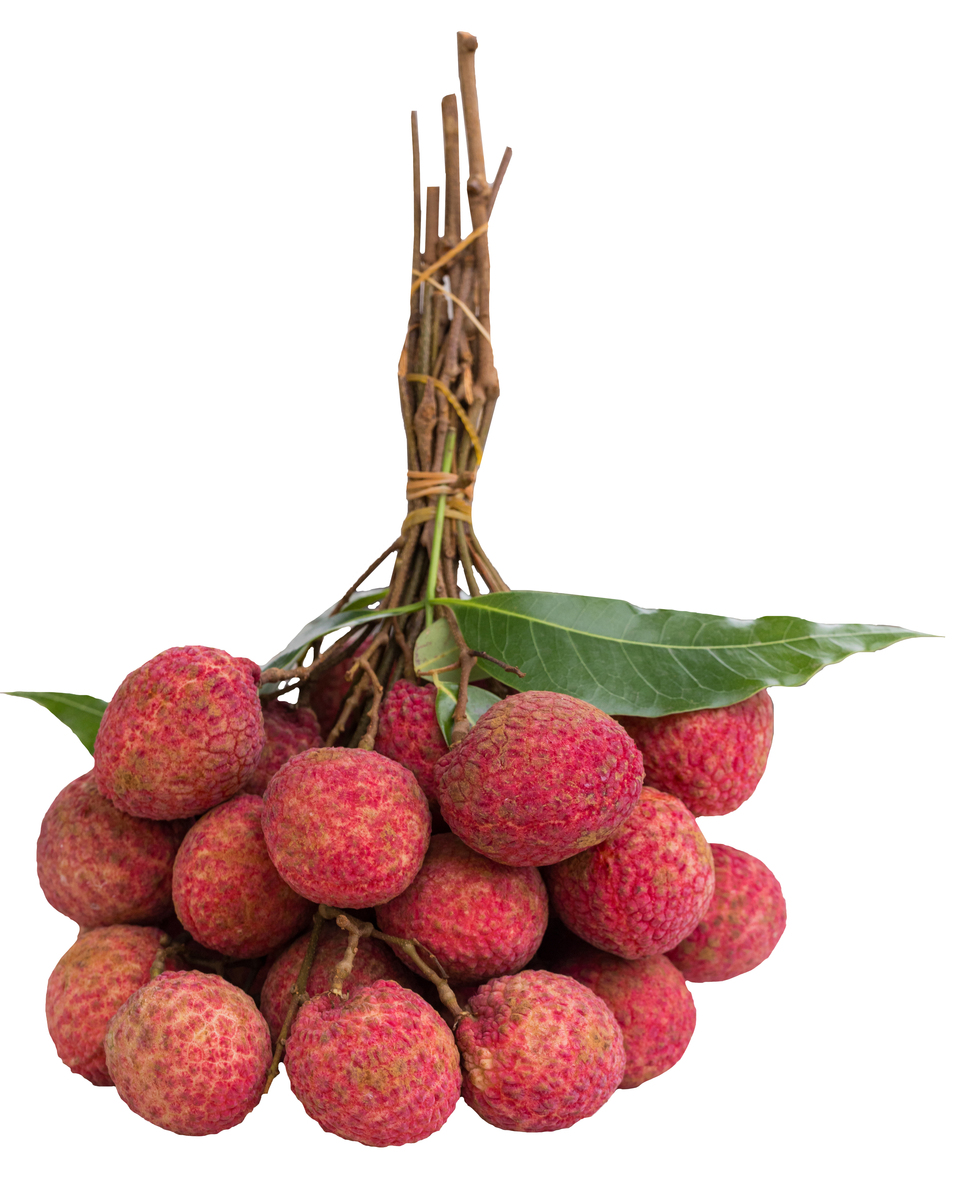 镇隆荔枝：鲜美可口、营养丰富、健康美味