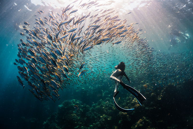 水下艺术：梦幻海底世界，艺术的奇妙之旅！