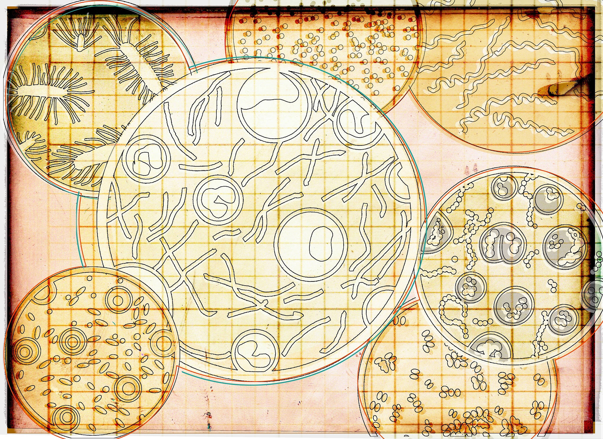 直径10cm的培养皿长满细胞时细胞数大概是多少