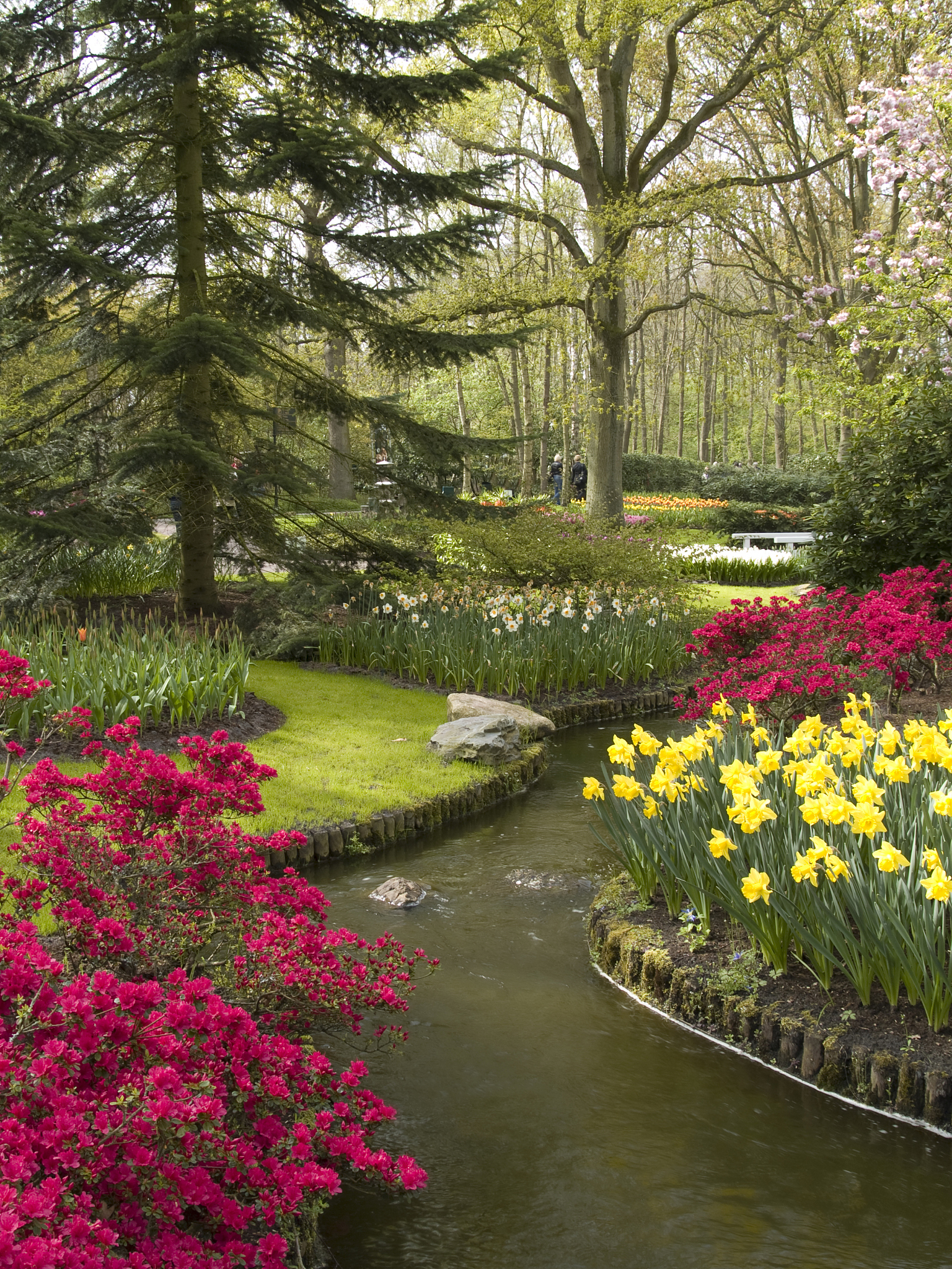 广西职业技术学院园林工程技术专业就业方向有哪些？