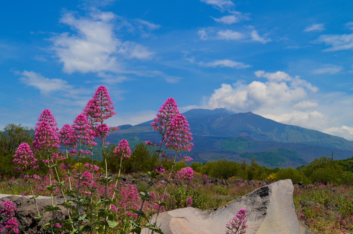蓝天红霞去春游