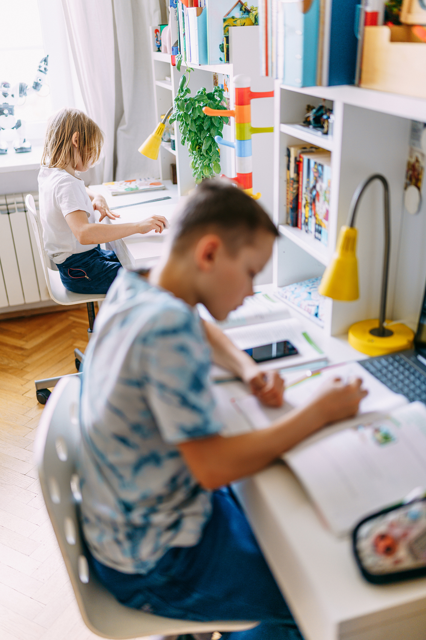education at home. two boys learning.